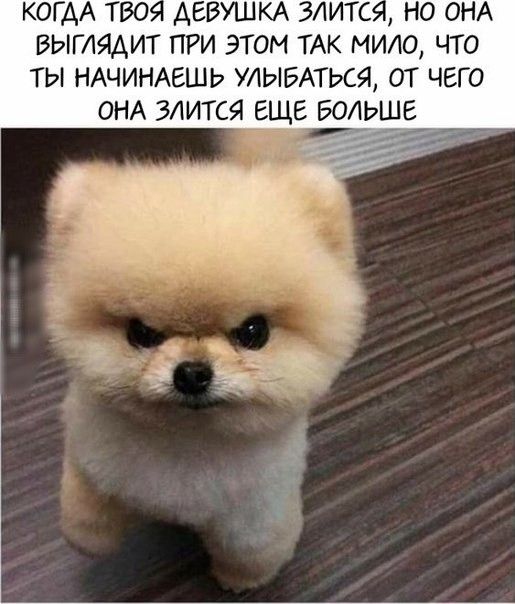 когдА тво выгладит при этом ТАК мило что ты НАЧИНАЕШЬ УЛЫБАТЬСЯ от чего ОНА злится еще БОЛЬШЕ