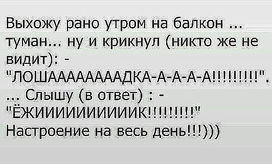 Выхожу рано утром на балкон туман ну и крикнул никто же не видит ЛОШААААААААДКАА АА А Слышу в ОТВЕТ ЁЖИИИИИИИИИИКН Настроение на весь день