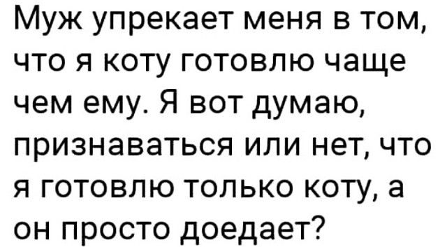 Муж упрекает меня в том что я коту готовлю чаще чем ему Я вот думаю признаваться или нет что я готовлю только коту а он просто доедает