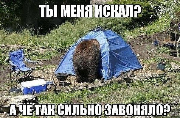 тж _ ты твнпЁЙЖндп