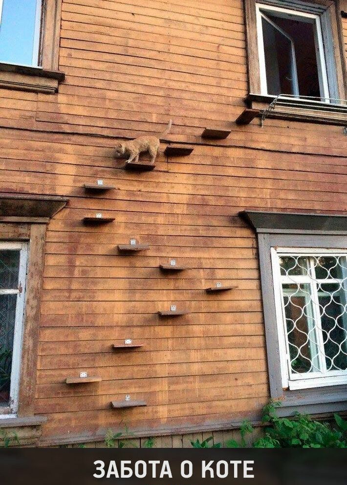 ЗАБОТА 0 КОТЕ