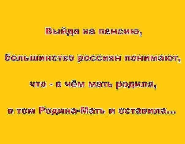 шп пин птиц днищаи