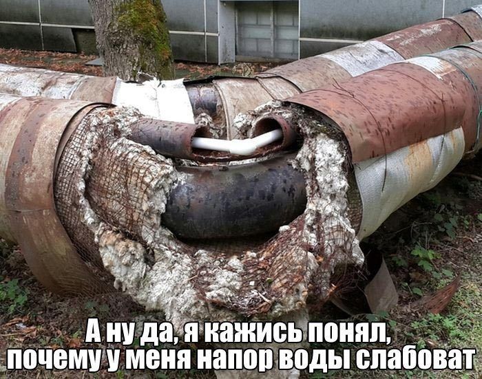 НУ да 01 МУ У МЕНЯ напо оды 01185088