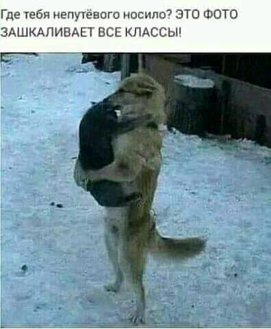 Где Юби НЁППЕНОГО носило ЭТО ФОТО ЗАШКАПИВАП ЕСЕ КЛАССЫ