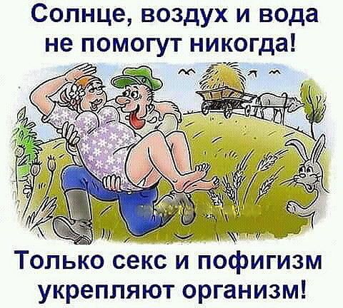 Солнце воздух и вода не помогут никогда _ Только секс и пофигизм укрепляют организм