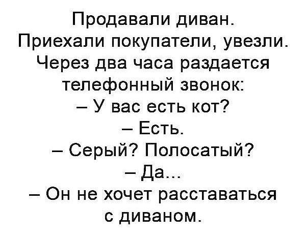 Продавапи диван Приехали покупатели увезпи Через два часа раздается телефонный звонок У вас есть кот Есть Серый Полосатый Да Он не хочет расставаться с диваном