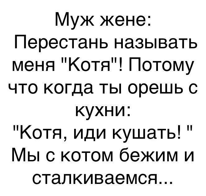 Муж жене Перестань называть меня Котя Потому что когда ты орешь с кухни Котя иди кушать Мы с котом бежим и сталкиваемся