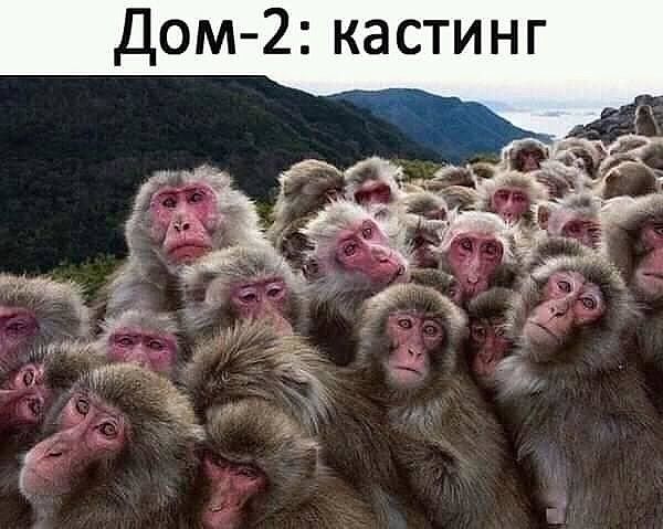 Дом 2 кастинг
