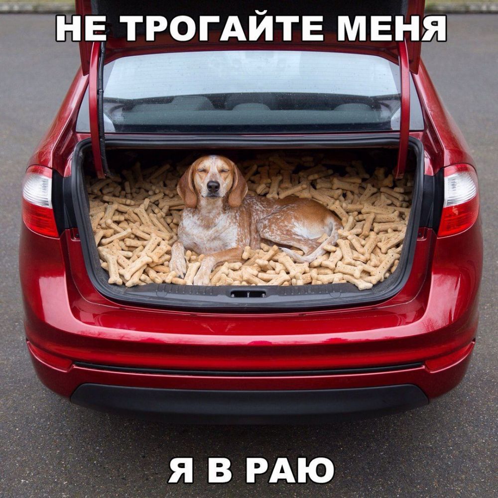 Н Е М Е Т И А _ О Р Т Е