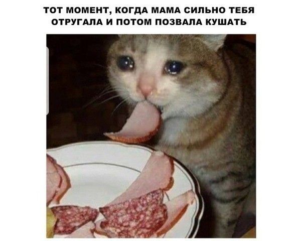 ТОТ МОМЕНТ КОГДА МАМА СИЛЬНО ТЕБЯ ВТРУГША И ПОТОМ ПОЗВАЛА КУШАТЬ