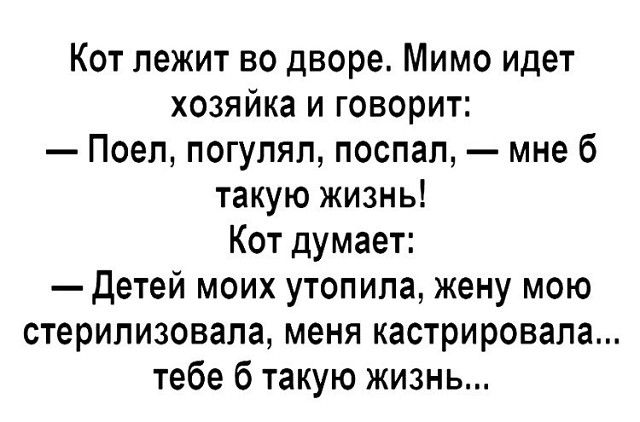 Кот лежит во дворе Мимо идет хозяйка и говорит Поеп погупяп поспал мне 6 такую жизнь Кот думает детей моих утопила жену мою стерилизована меня кастрировала тебе 6 такую жизнь