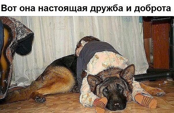 Вот она настоящая дружба и доброта 1