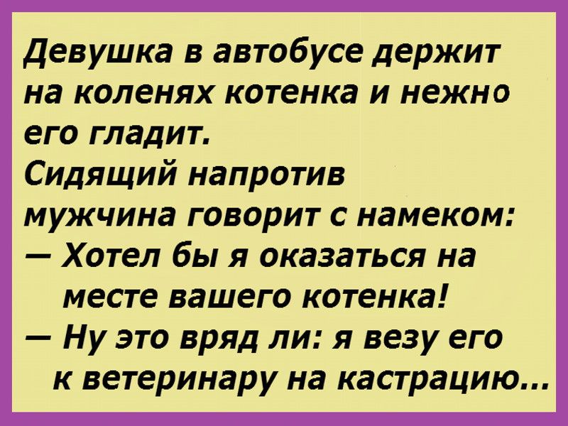 Девушка в автобусе держит на коленях котенка и нежно его гладит Сидящий напротив мужчина говорит с намеком Хотел бы я оказаться на месте вашего котенка Ну это вряд ли я везу его к ветеринару на кастрацию