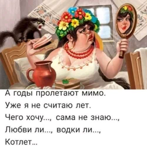 годыпропетают мимо Уже я не считаю лет Чего хочу сама не знаю Любви ли водки ли Котлет