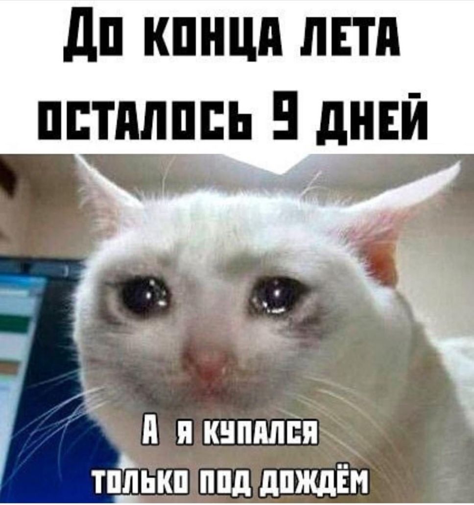 дп кпнцп лш пптплппь днеи д н кнпплся тпйькп ппд дпждЁм