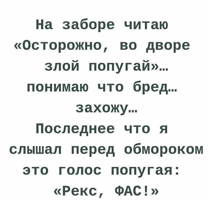 На заборе читаю Осторожно во дворе злой попугай понимаю что бред захожу Последнее что я слышал перед обмороком это голос попугая Рекс ФАС