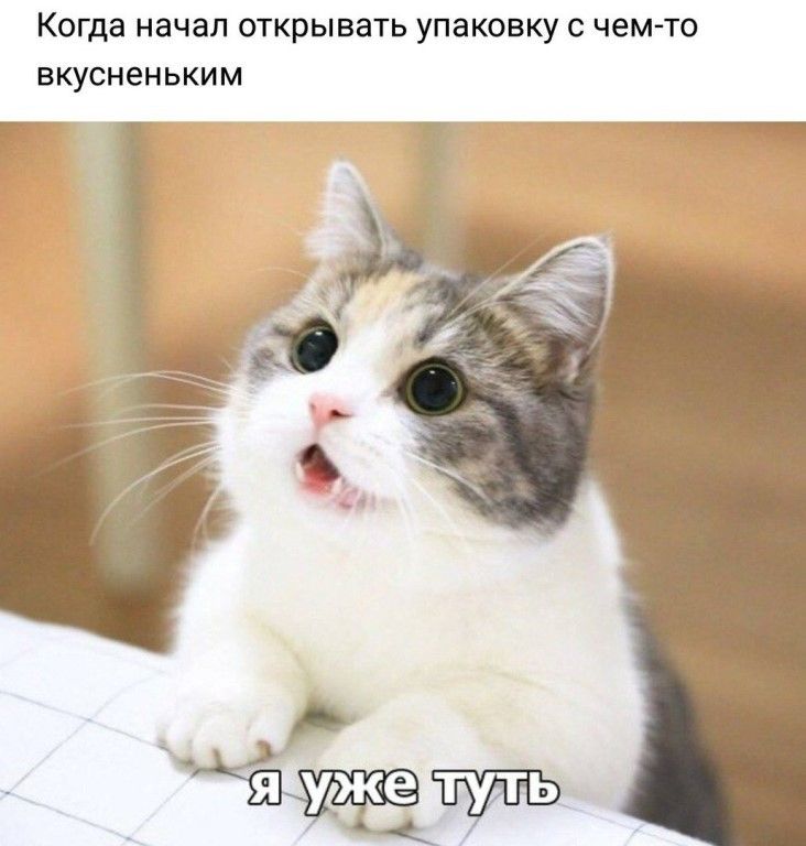 Когда НЭЧЗЛ ОТКРЫВЭТЬ УПЭКОВКУ С чемто ВКУСНЭНЬКИМ