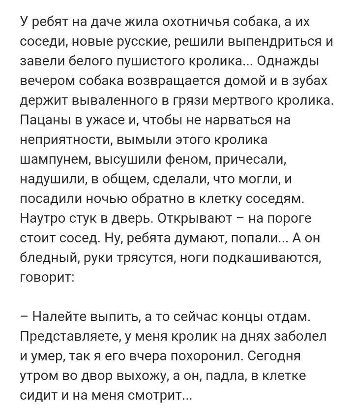 У ребят на даче жила охотничья собака а их соседи новые русские решили выпендриться и завели белого пушистого кролика Однажды вечером собака возвращается домой и в зубах держит вываленного в грязи мертвого кролика Пацаны в ужасе и чтобы не нарваться на неприятности вымыли этого кролика шампунем высушипи феном причесапи надушипи в общем сделали что могли и посадили ночью обратно в клетку соседям На