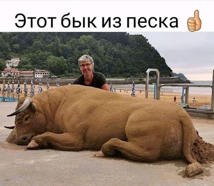Этот бык из песка