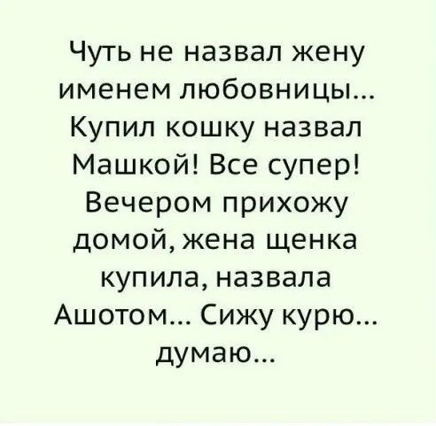 Чуть не назвал жену именем любовницы Купил кошку назвал Машкой Все супер Вечером прихожу домойжена щенка купила назвала Ашотом Сижу курю думаю