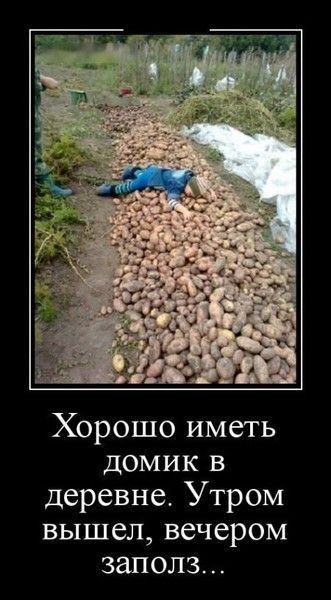 Хорошо иметь домик в деревне Утром ВЫШСЛ вечером заполз