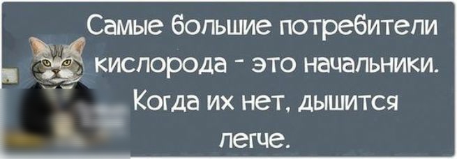Самые большие потребители ёё КИСЛОРОДа ЭТО НЭЦЭПЬНИКИ _ Когда их нет Дышится легче