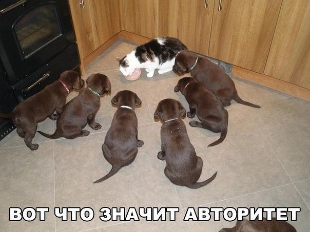 ЁПА