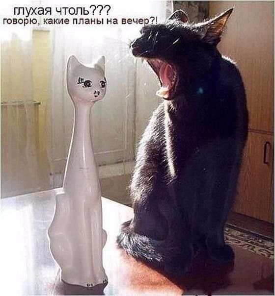 гпухая чтоль ГОВОРЮ какие планы на вече