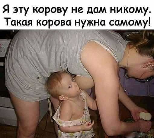 Я эту корову не дам никому Такая корова нужна самому
