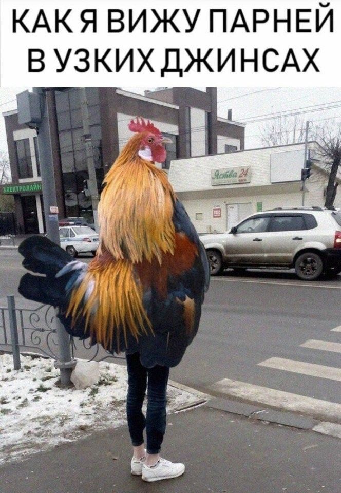 КАКЯ вижу ПАРНЕЙ в УЗКИХДЖИНСАХ