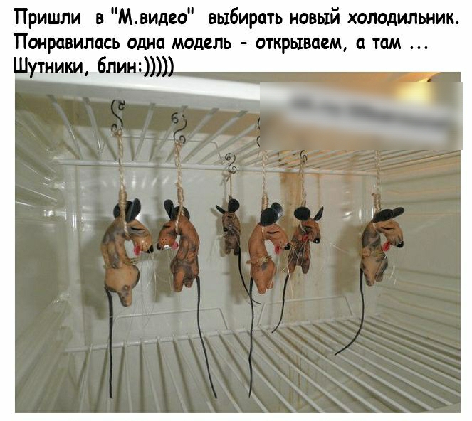 Пришли в Мвидео выбирать новый холодильник Понравилась одна модель открываем там