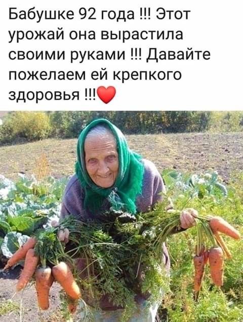 Бабушке 92 года Этот урожай она вырастила своими руками давайте пожелаем ей крепкого здоровья
