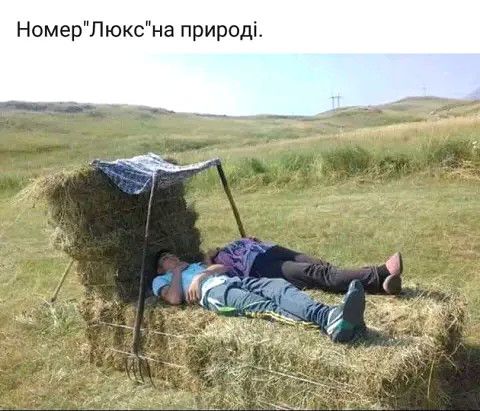 НомерЛюксна природі