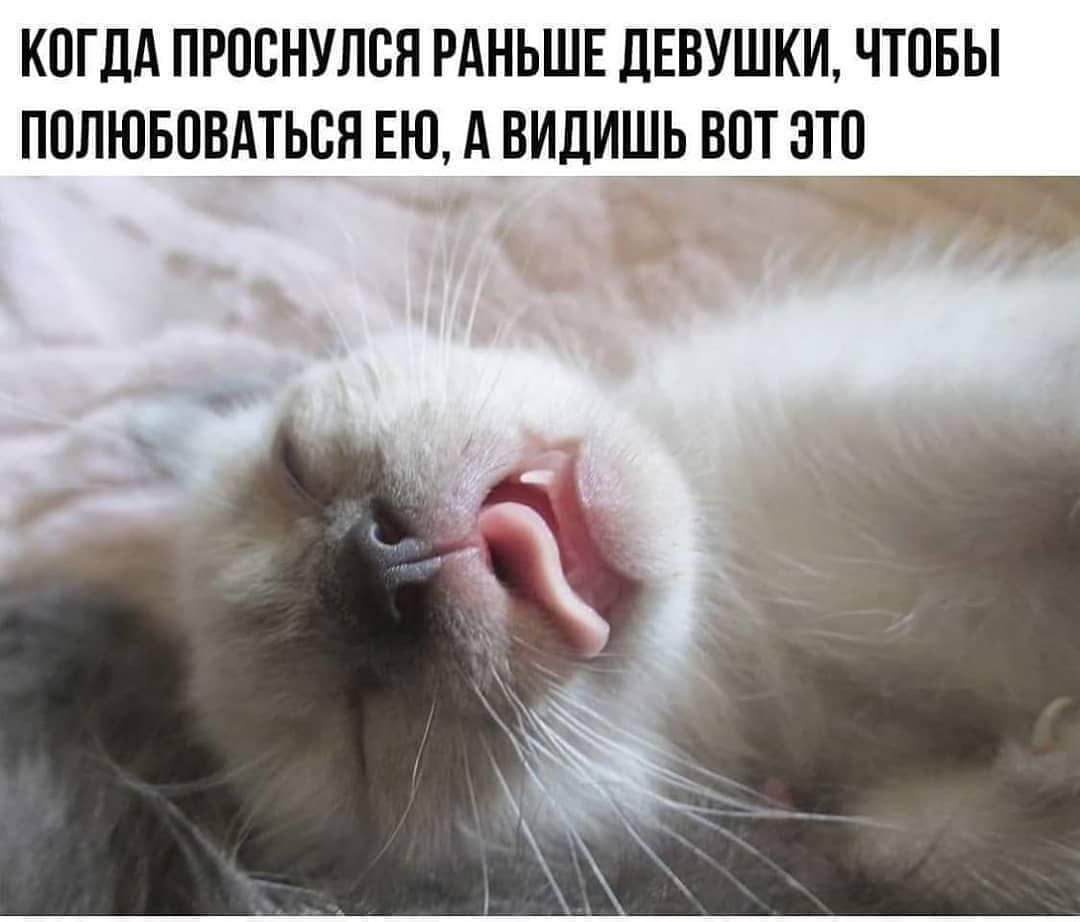 КОГДА ПРОСНУЛБН РАНЬШЕ ДЕВУШКИ ЧТОБЫ ПОЛЮБОВАТЬСН ЕЮ А ВИДИШЬ ВОТ ЭТО