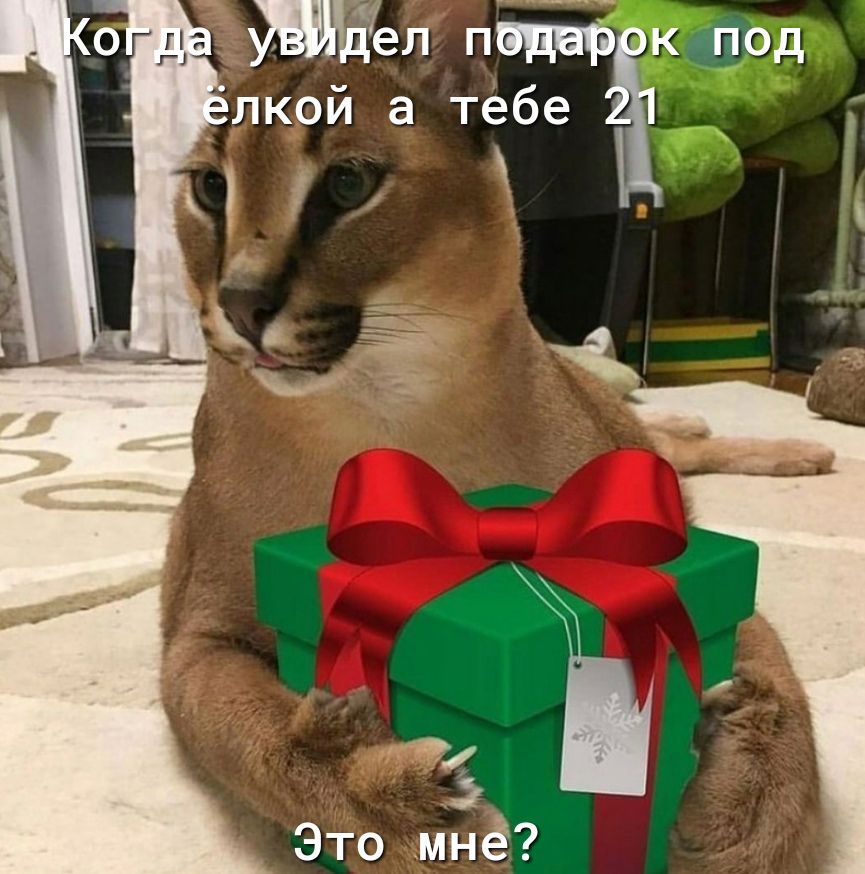 Лкой а тебе    е. М  ел птк под ъ