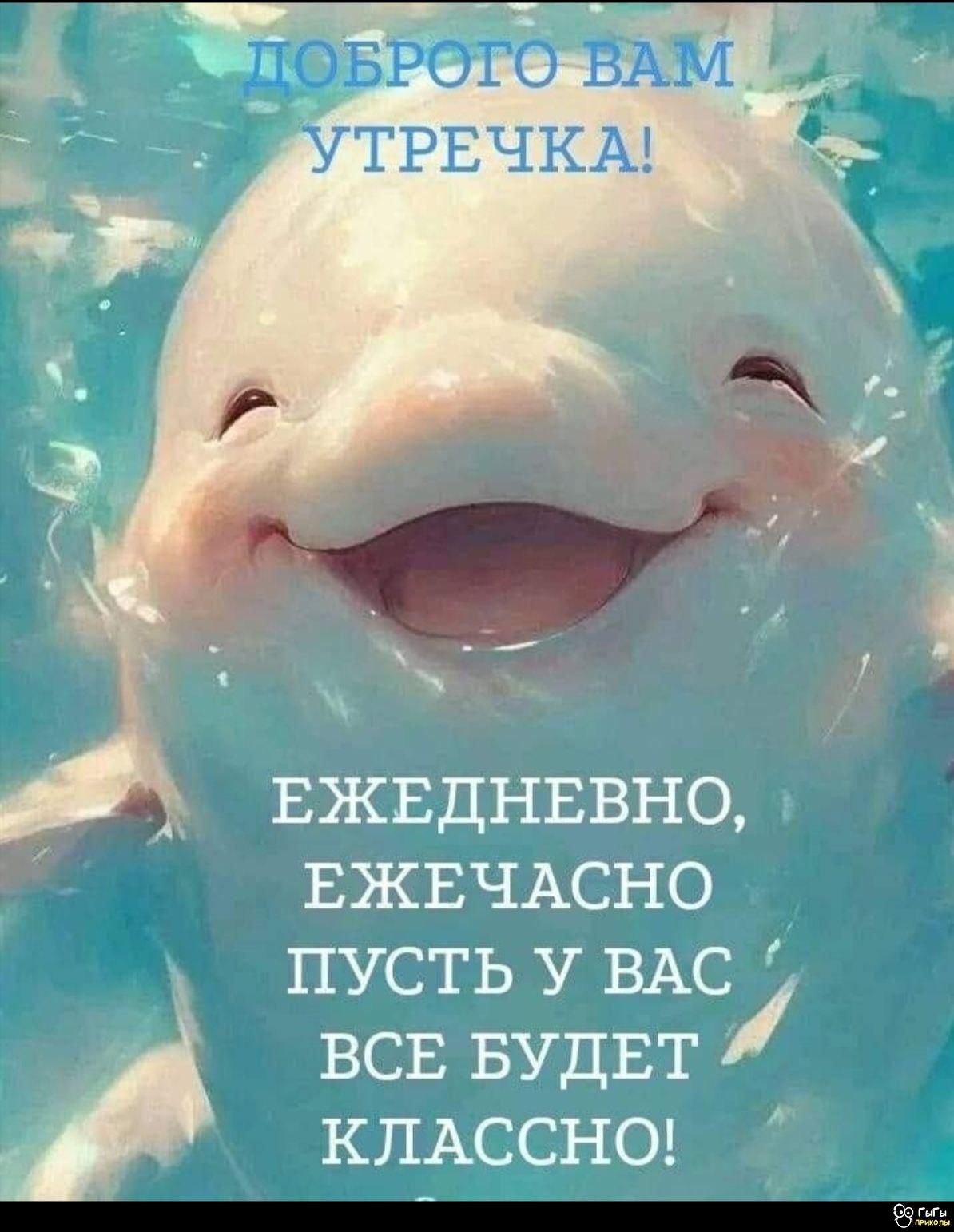 ДОБРОГО ВАМ УТРЕЧКА!
ЕЖЕДНЕВНО, ЕЖЕЧАСНО ПУСТЬ У ВАС ВСЕ БУДЕТ КЛАССНО!