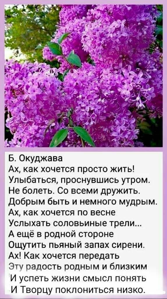Б Окуджава Ах как хочется просто жить Улыбаться проснувшись утром Не болеть Со всеми дружить Добрым быть и немного мудрым Ах как хочется по весне Услыхать соловьиные трели А ещё в родной стороне Ощутить пьяный запах сирени Ах Как хочется передать Эту радость родным и близким И успеть жизни смысл понять И Творцу поклониться низко