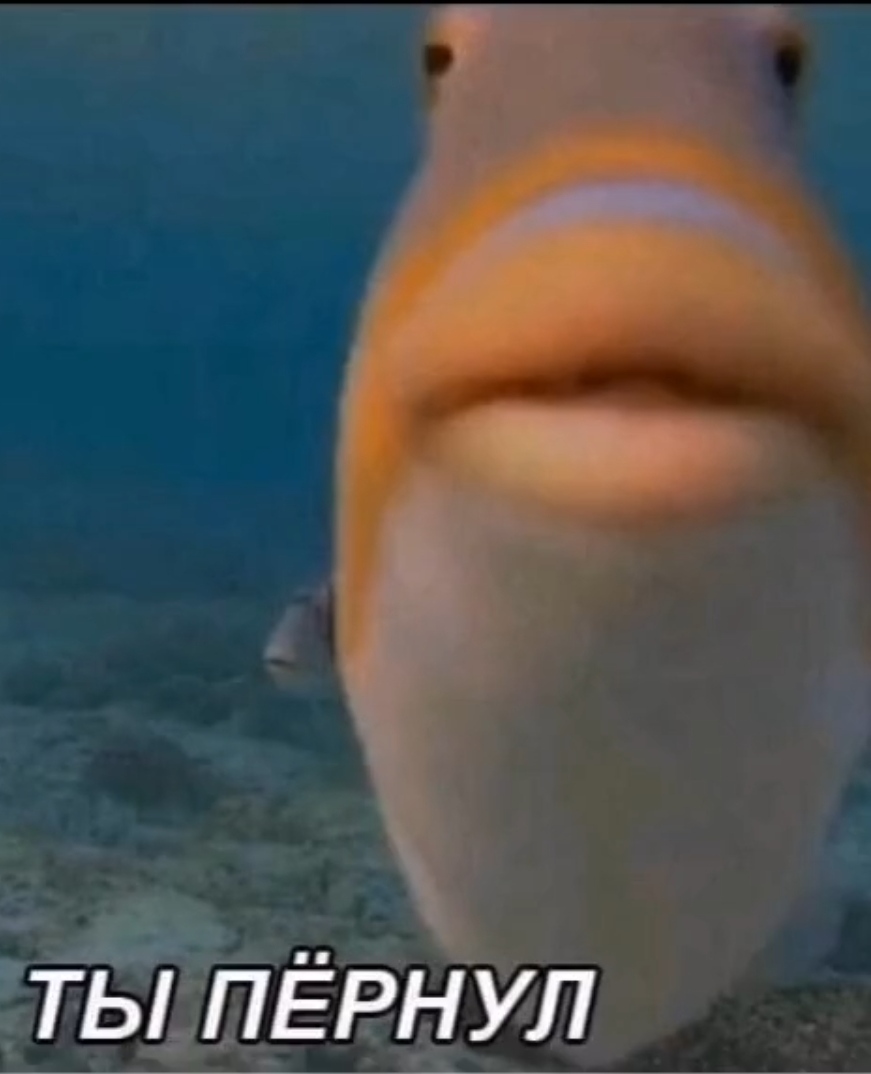 ЁЁНУЛ тьш Г