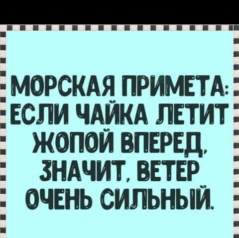 ёМОРСКАЯ ПРИМЕТАЁ ЕСЛИ ЧАЙКА ЛЕТИТ ЖОПОЙ ВПЕРЕД ЗНАЧИТ ВЕТЕР_ ОЧЕНЬ СИЛЬНЫИ