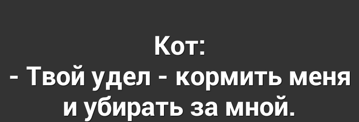 Кот Твой удел кормить меня и убирать за мной