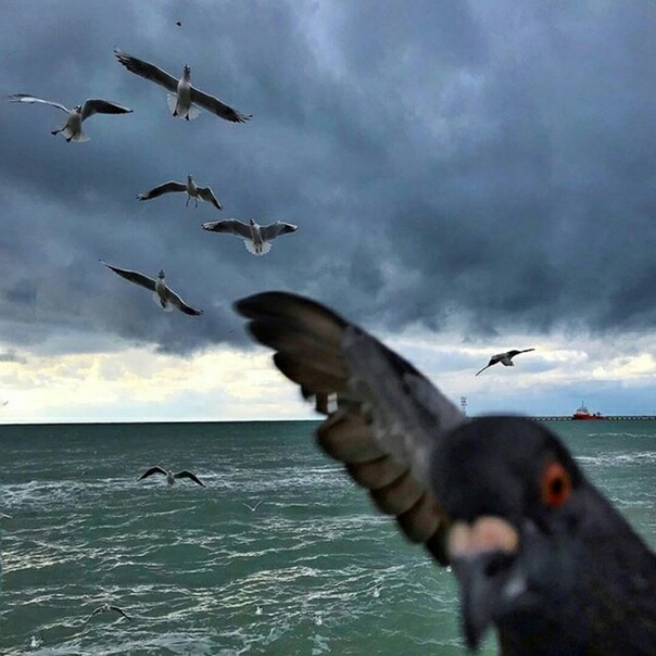 _т