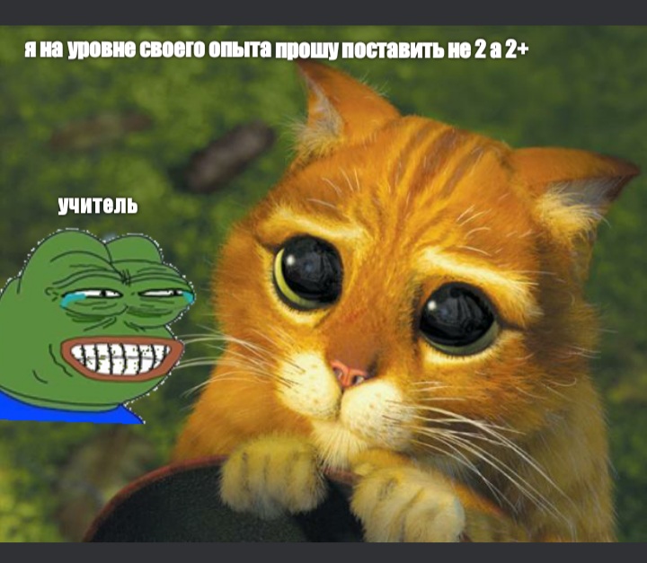 п ппппппп ттппппипппъ пт _ __ к _ чт н