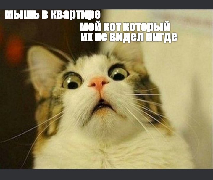 мышь в П иой31111711 11 239 А