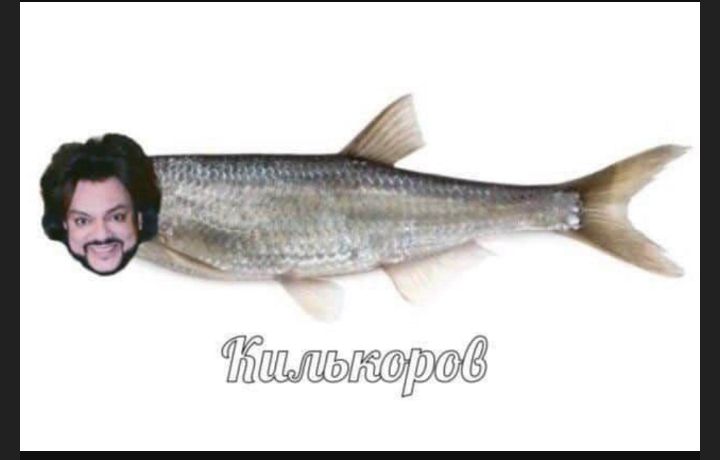 Ёцльндршё