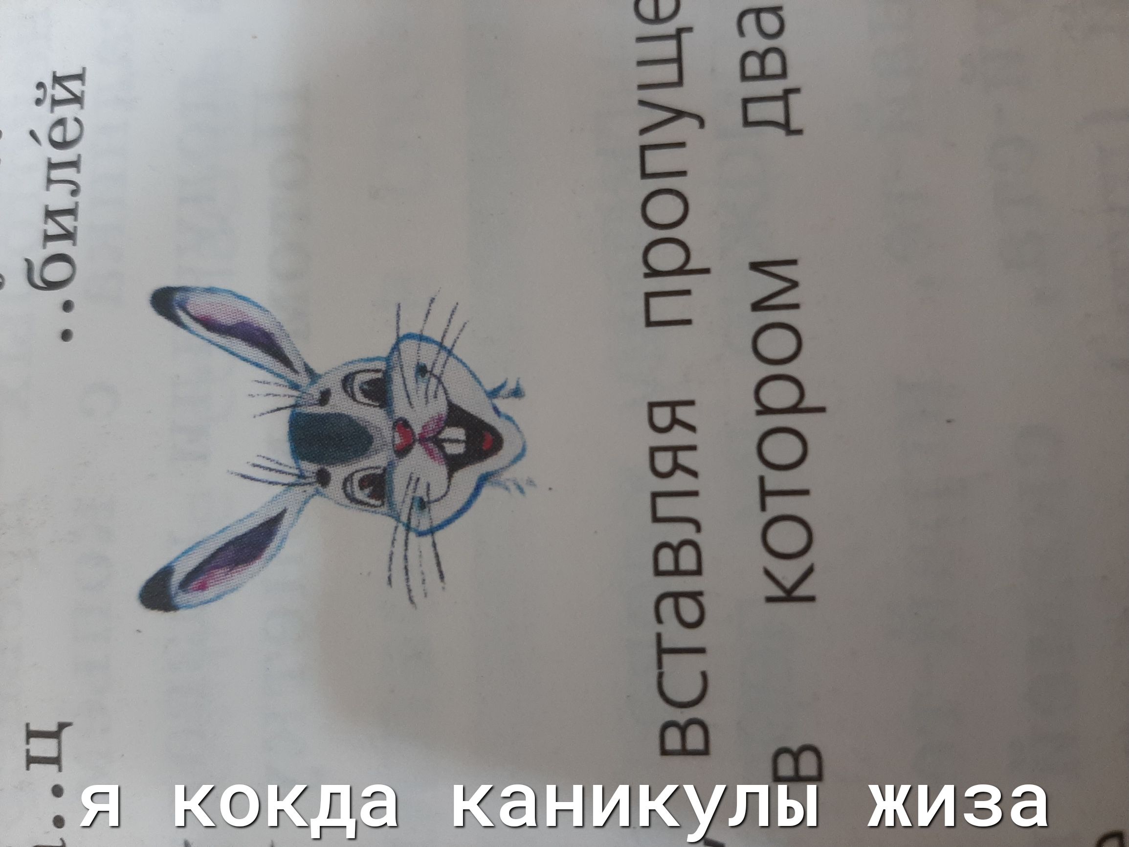 Я кокда ъАкулы жиза