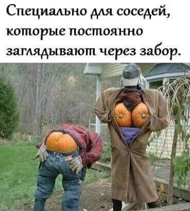 Спецшъно для соседей которые постоянно замядывают через забор