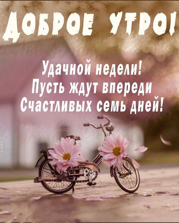пусть ждут впереди семь днеи