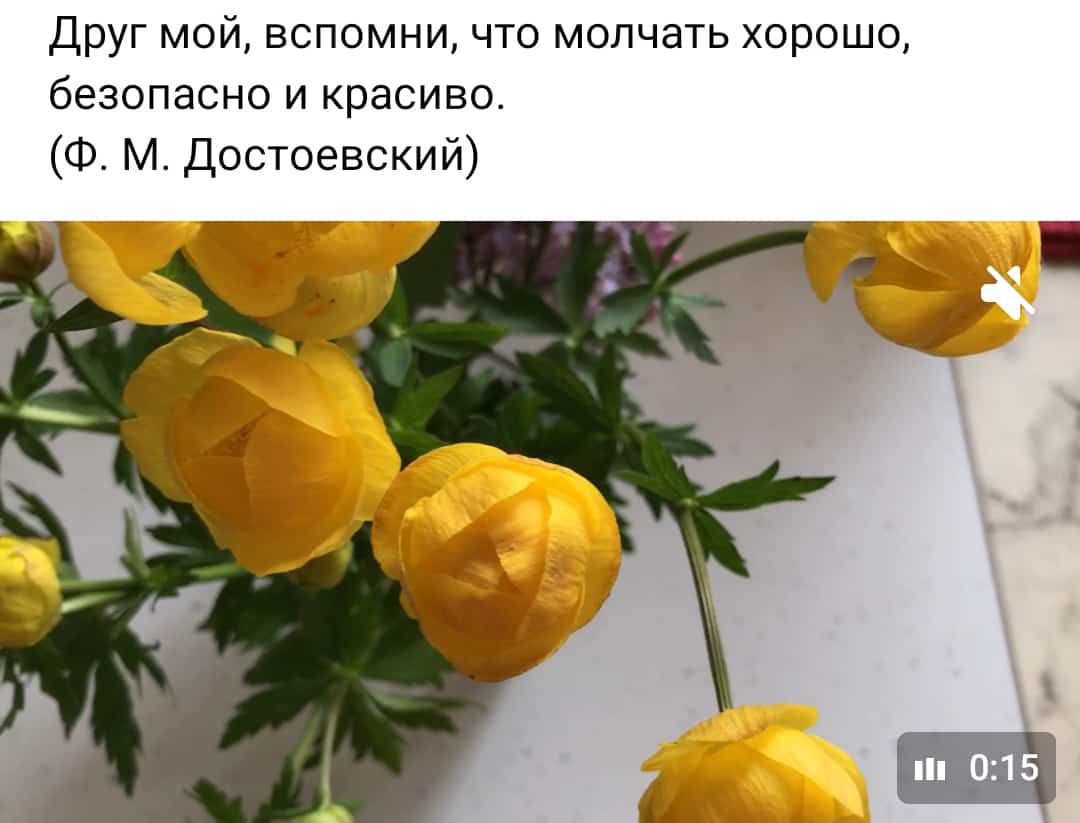 Друг мой вспомни что молчать хорошо безопасно и красиво Ф М Достоевский