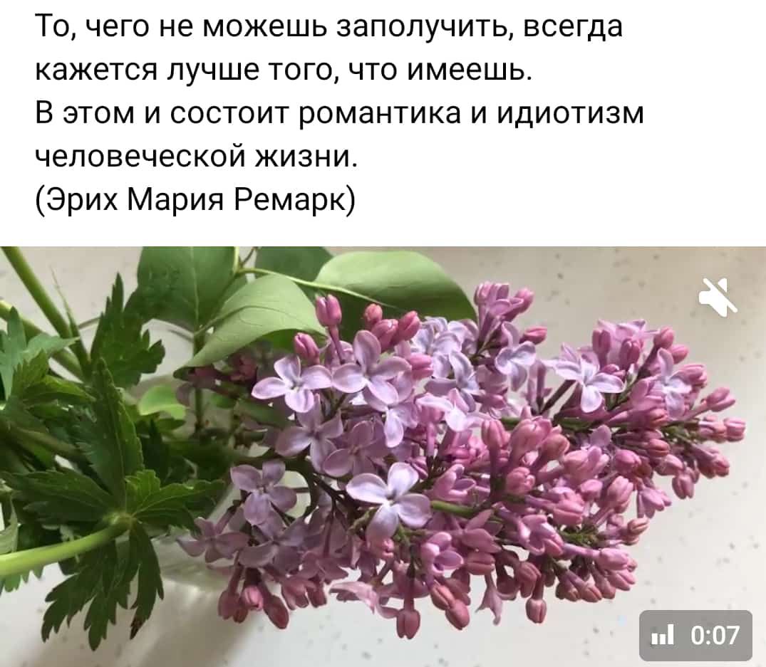 ТО ЧеГО не МОЖеШЬ заполучить всегда кажется ЛУЧШЕ ТОГО ЧТО имеешь В ЭТОМ И СОСТОИТ рОМаНТИКа И ИДИОТИЗМ ЧЕЛОВЕЧЕСКОЙ ЖИЗНИ Эрих Мария Ремарк