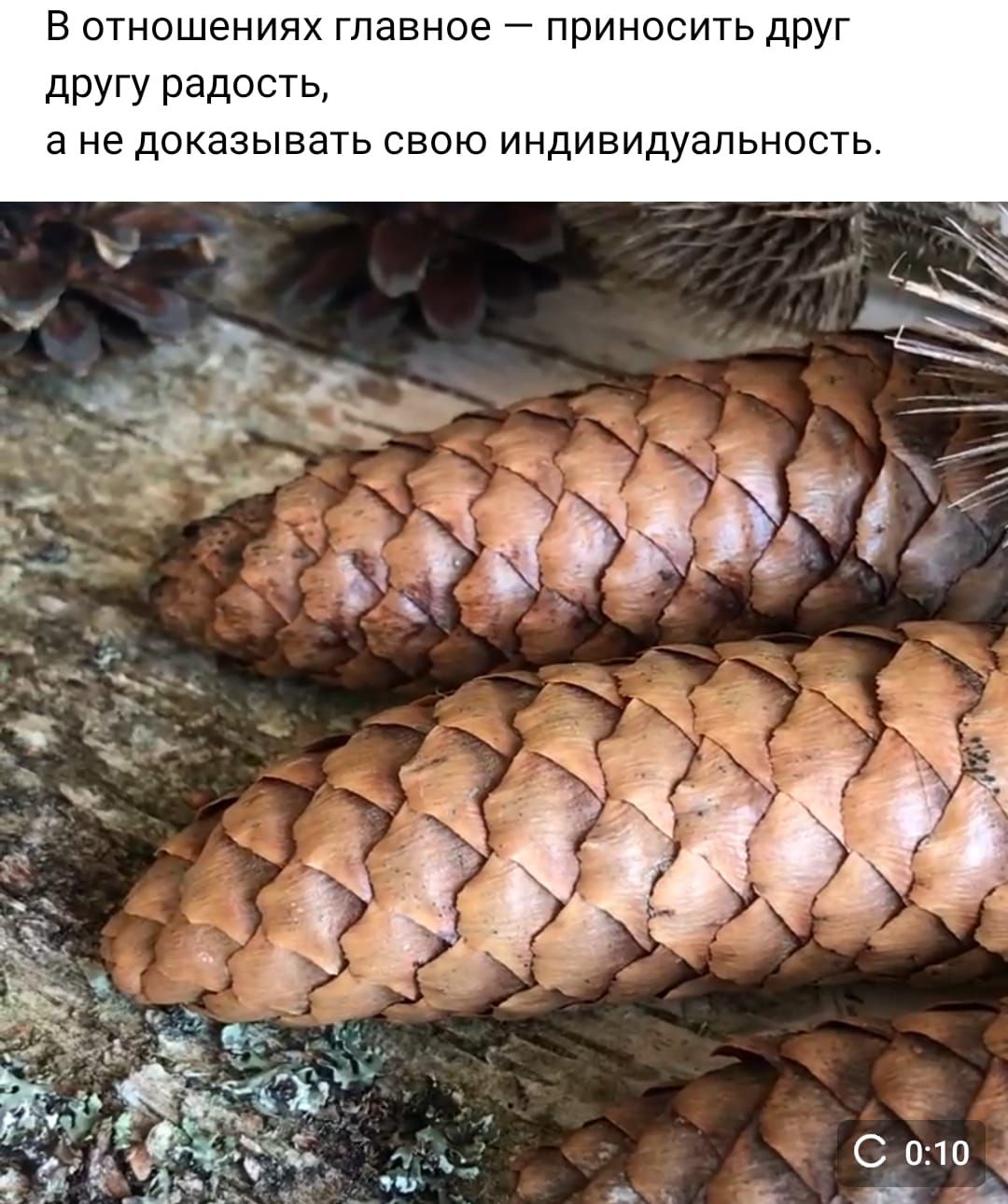 В отношениях главное приносить друг дРУГУ РЗДОСТЬ в не доказывать свою индивидуальность